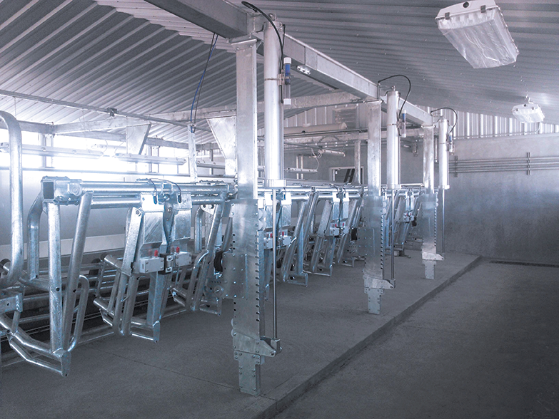Index Stall | Dairy Parlor Equipment | DairyStalls.com